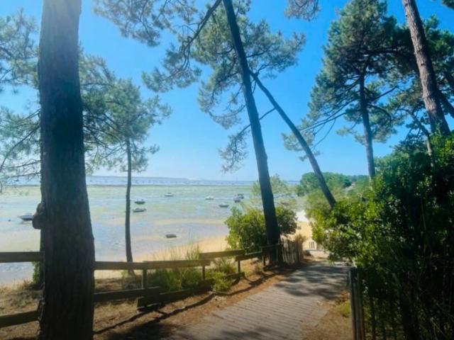 Maison vente à France métropolitaine, Lège-cap-ferret