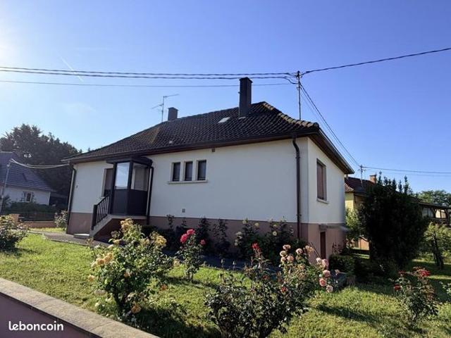 Maison vente à Haguenau-Wissembourg, Herrlisheim
