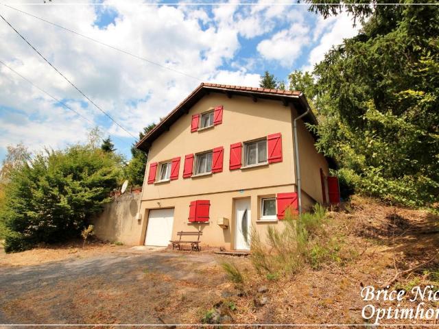 Maison vente à Saint-Dié-des-Vosges, Moyenmoutier