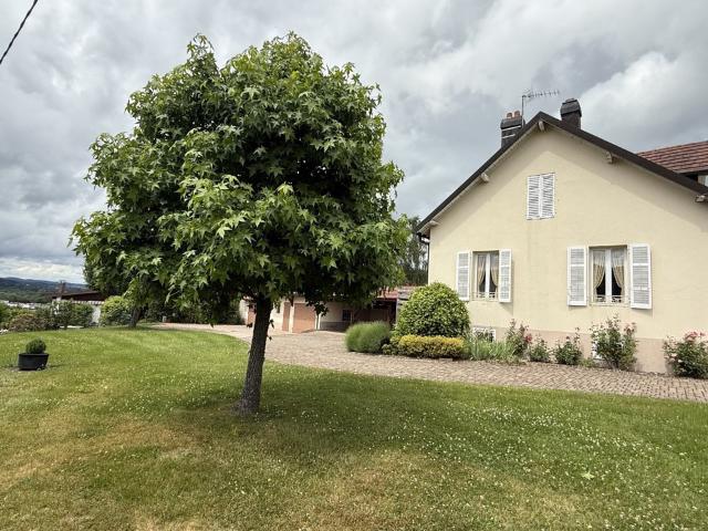 Maison vente à Saint-Dié-des-Vosges, Saint-dié
