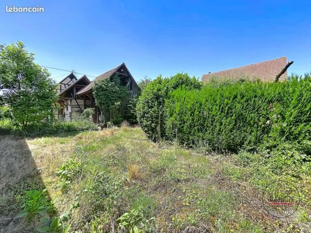 Maison vente à Westhouse, Collectivité européenne d'Alsace