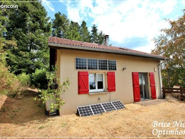 Maison vente à Saint-Dié-des-Vosges, Moyenmoutier