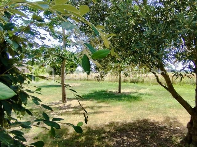 Maison vente à Gontaud-de-nogaret, Lantrou