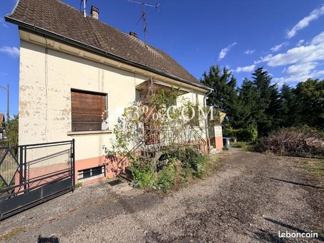 Maison vente à Haguenau-Wissembourg, Seltz