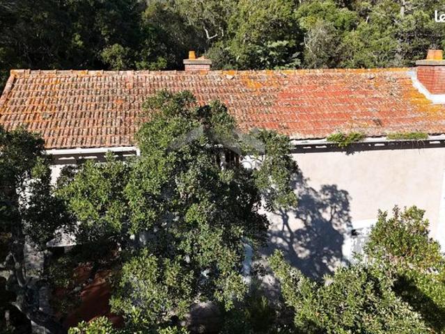 Maison vente à Sartène, Zonza