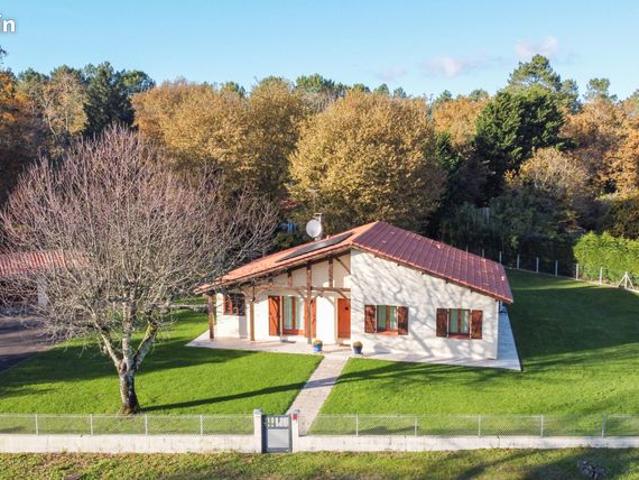Maison vente à Trensacq