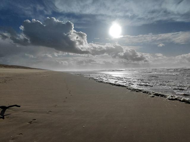 Maison vente à Arcachon, Lège-cap-ferret