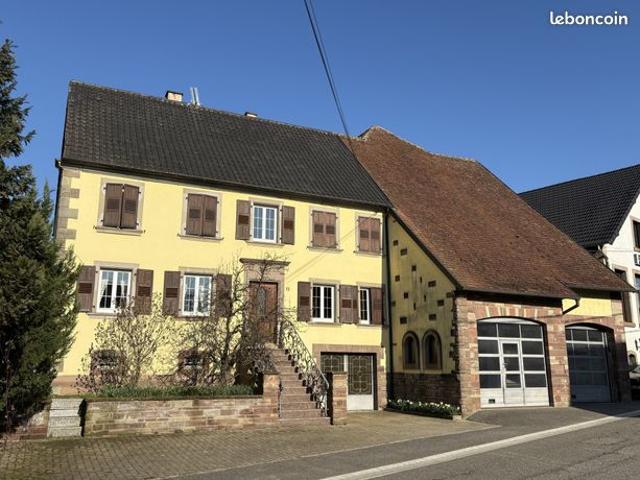 Maison vente à Saverne, Rexingen