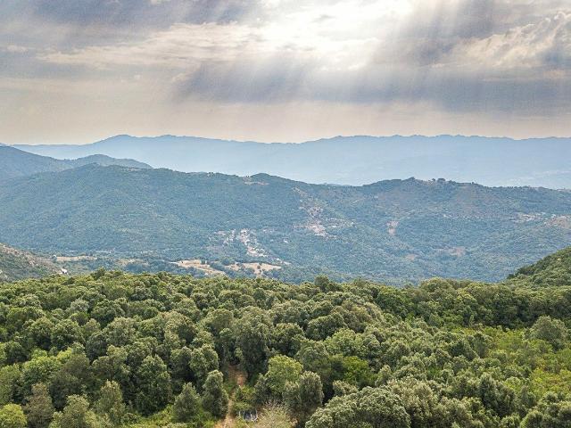 Maison vente à Ajaccio, Cognocoli-monticchi