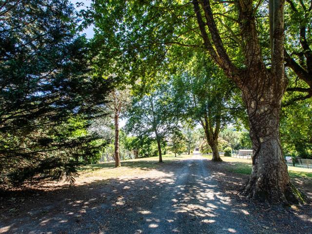 Maison vente à France métropolitaine, Aire-sur-l'adour