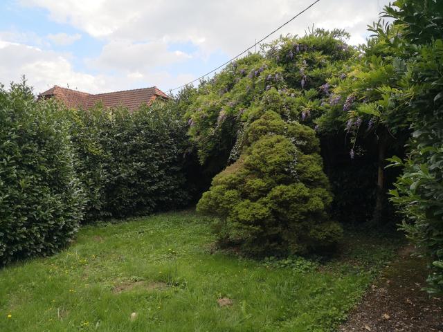 Maison vente à Haguenau-Wissembourg, Memmelshoffen