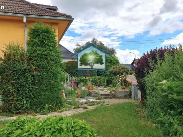Maison vente à Haguenau-Wissembourg, Mertzwiller