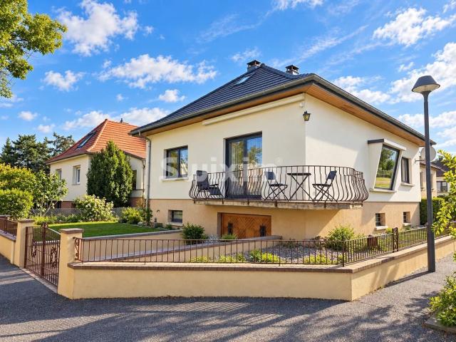 Maison vente à Colmar, Collectivité européenne d'Alsace
