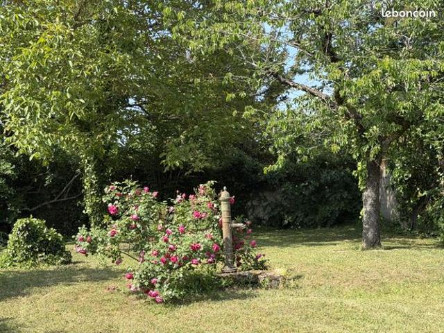 Maison vente à Chinon, Chouzé-sur-loire