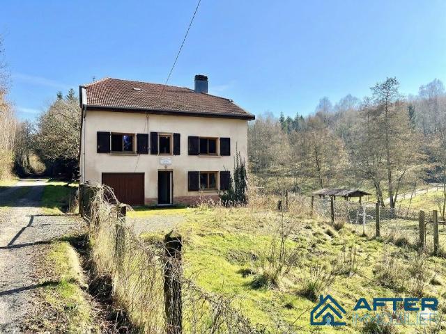 Maison vente à Lunéville, Neufmaisons