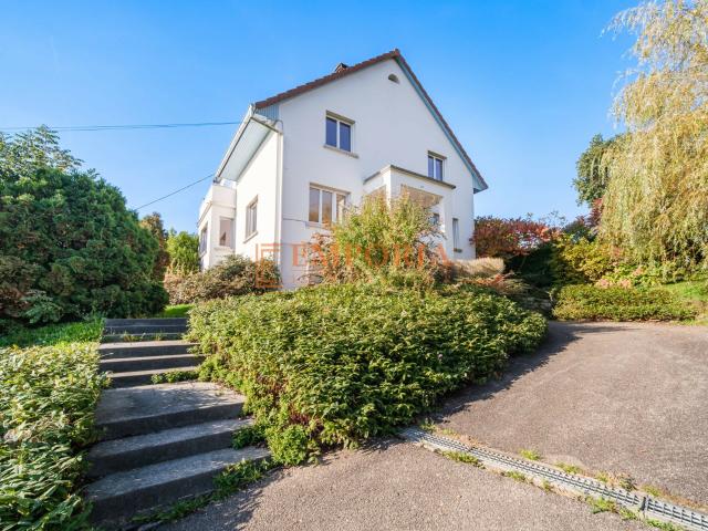 Maison vente à Altkirch, Bisel