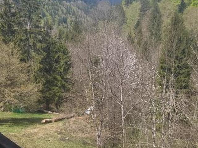 Maison vente à Grenoble, Allemond