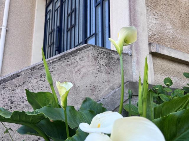 Maison vente à Provins, Nangis