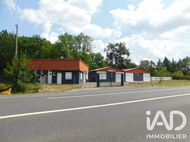 Maison vente à Romorantin-Lanthenay, Theillay