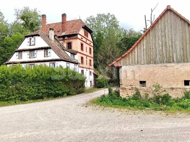 Maison vente à Kolbsheim