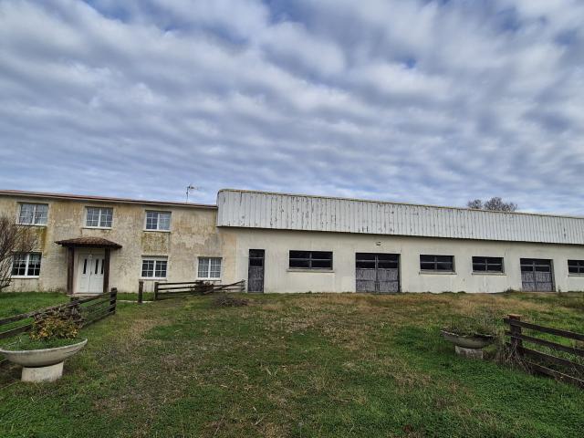 Maison vente à Fontenay-le-Comte, Grues