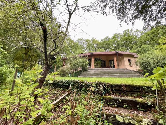 Maison vente à France métropolitaine, Pibrac