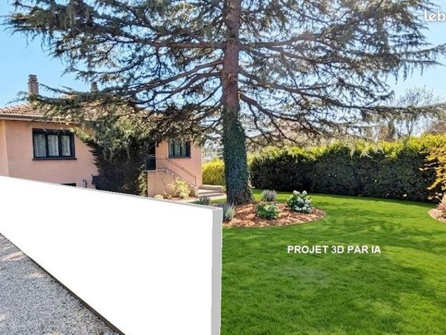 Maison vente à Lyon, Métropole de Lyon