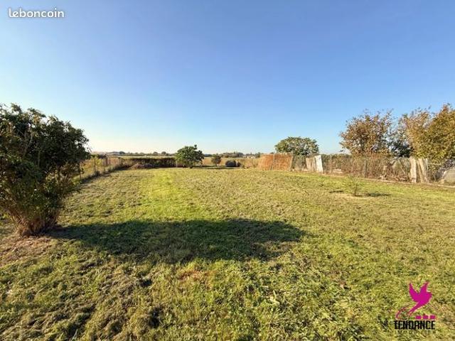 Maison vente à Toulouse, Larra