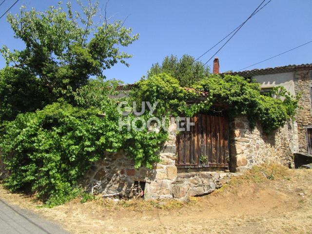 Maison vente à Brioude, Saint-privat-du-dragon