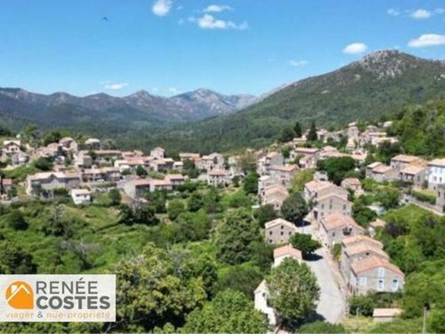 Maison vente à Sartène, Aullène