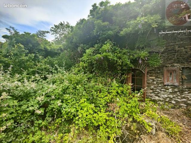 Maison vente à Molezon, Lozère