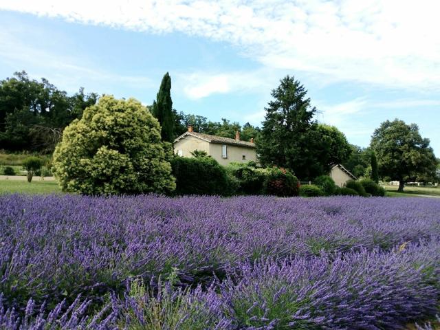 Maison vente à France métropolitaine, Saint-marcel-lès-valence
