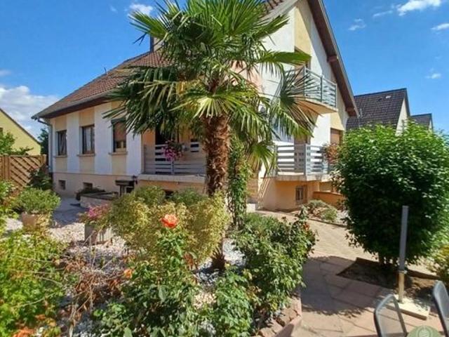 Maison vente à Colmar-Ribeauvillé, Wettolsheim
