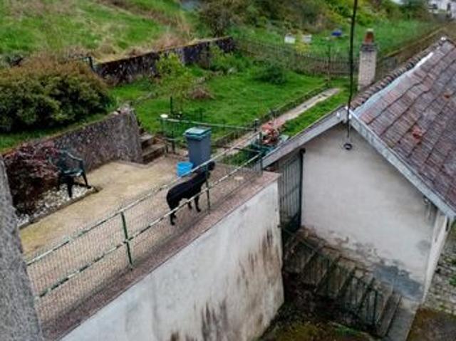 Maison vente à Épinal, Chavelot
