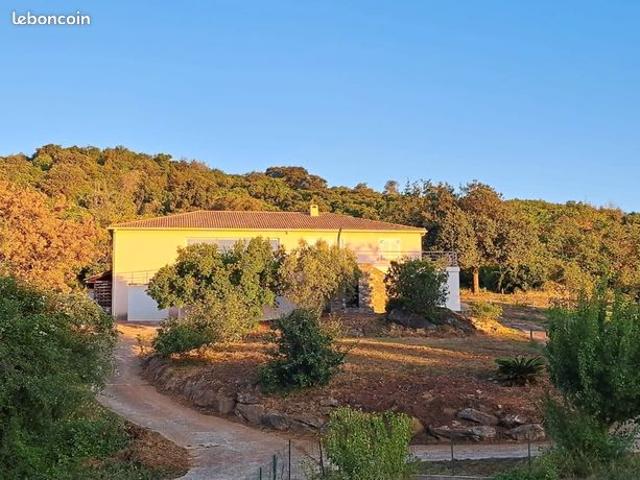 Maison vente à Corte, San-nicolao