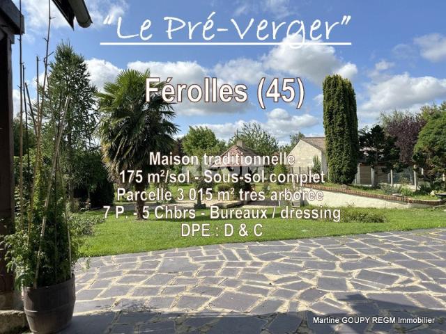 Maison vente à Orléans, Férolles