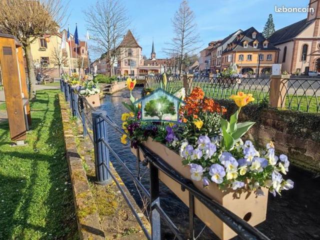 Maison vente à Haguenau-Wissembourg, Niederbronn-les-bains