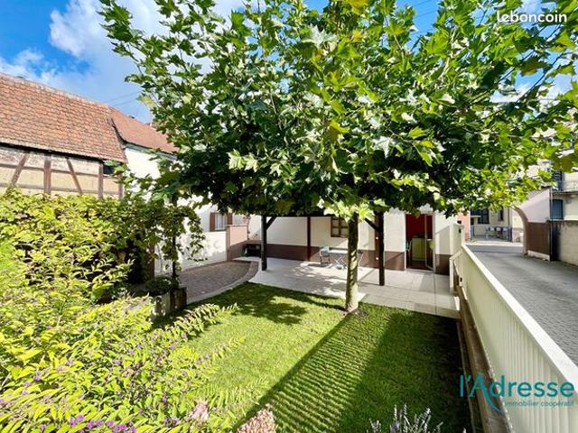 Maison vente à Colmar-Ribeauvillé, Sainte-croix-en-plaine