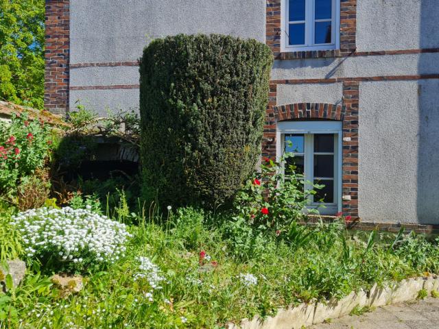 Maison vente à Chimay commune de Mévoisins, Mévoisins