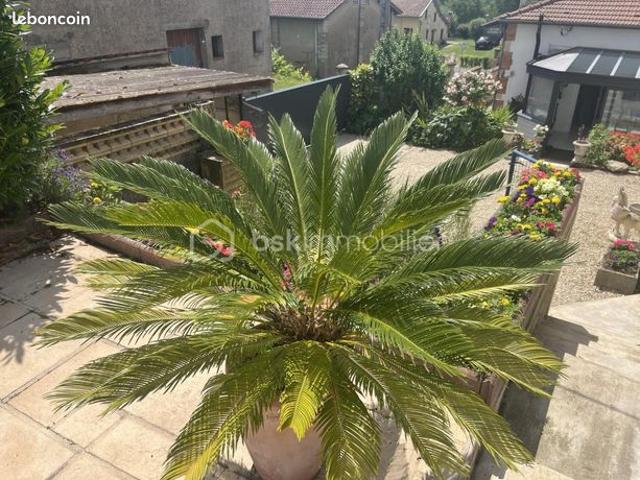 Maison vente à Bar-le-Duc, Villotte-devant-louppy