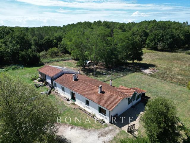 Maison vente à Lesparre-Médoc, Vendays-montalivet