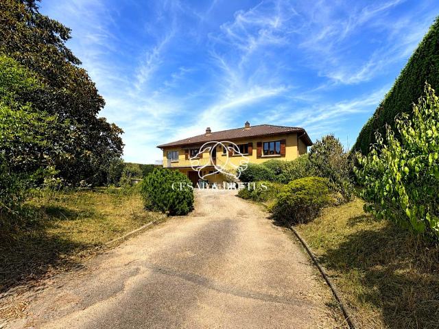 Maison vente à Lyon, Métropole de Lyon