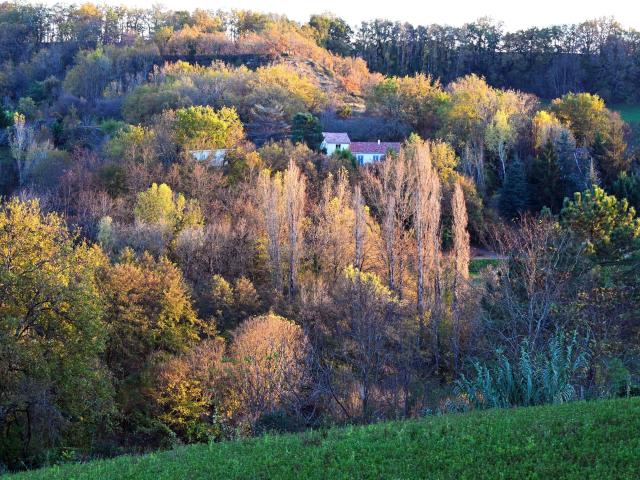 Maison vente à Agen, Saint-caprais-de-lerm