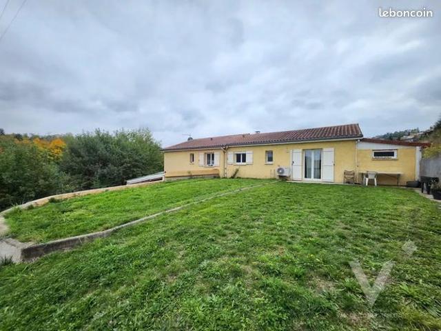 Maison vente à Saint-Étienne, Fraisses
