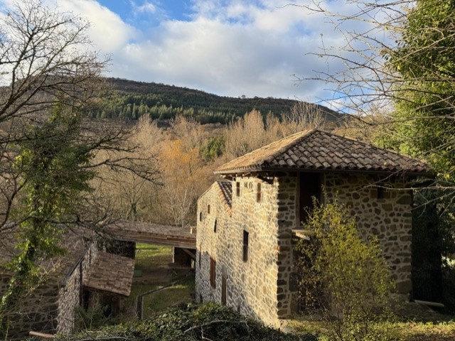 Maison vente à Largentière, Darbres