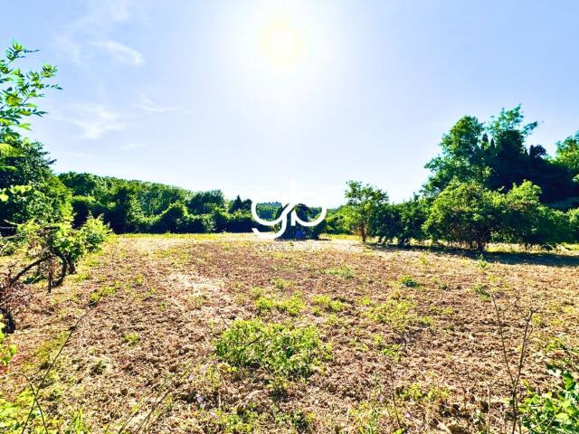 Maison vente à Montpellier, Prades-le-lez