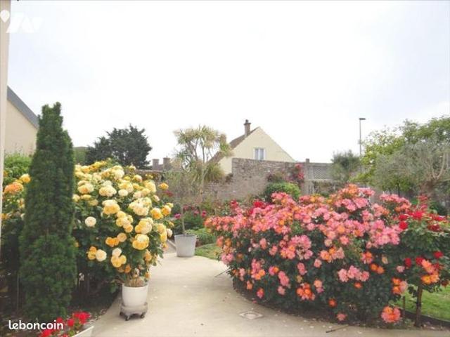 Maison vente à Cherbourg, Barfleur