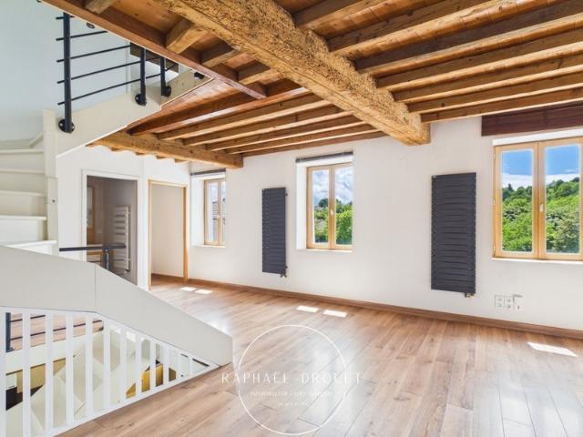 Maison vente à Vienne, Jardin