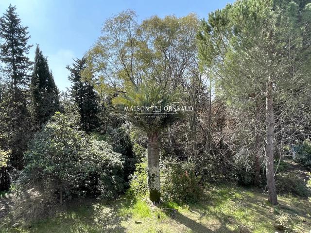 Maison vente à Montpellier