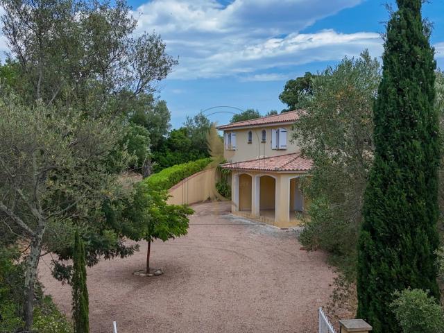 Maison vente à Sartène, Lecci